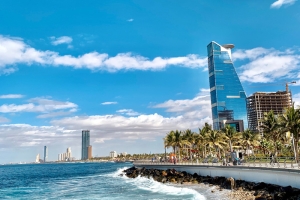 Glimpse of Saudi Arabia