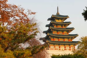 Seoul K-Culture &amp; City Tour