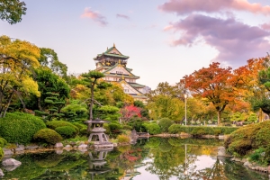 Charming Osaka