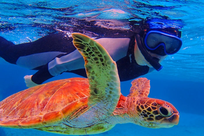 Full Board & Snorkeling at The Barat Perhentian